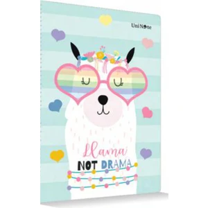 Çınar Defter A4 Okul Defteri 60 Yaprak Çizgili Lama Desenli
