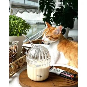 Snow Homs 2 Adet Mika Plastik Oval Kapaklı Isıya Dayanıklı Pinterest Bardak | Kahve ve Sunum Bardağı| 430 ml