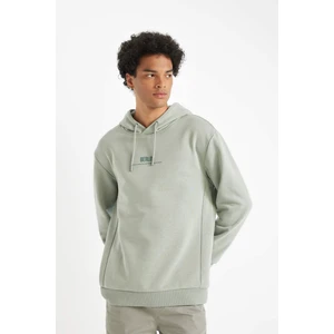 Relax Fit Kapüşonlu Baskılı Sweatshirt Y9652AZ24AU