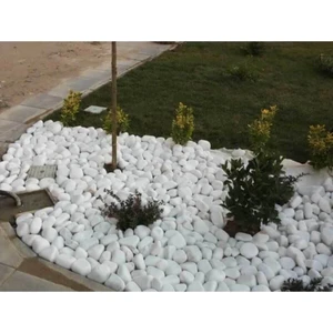 Beyaz Dolomit 25 kg 2,5-4 cm Dolamit Taşı Dere Çakıl Taşı Bahçe Süs Taşı Dekoratif Taş Loche No.4-5