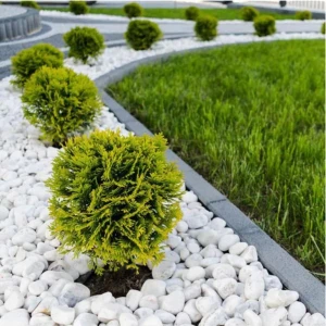Dolomit Taş 10 kg 4-6 cm Beyaz Dolomit Taş Saksı Dibi Dekoratif Taş Bahçe Süsleme Taşı Peyzaj Taşı