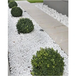 Beyaz Dolomit Taş 15 kg 2-4 cm Dolomit Taş Saksı Dibi Dekoratif Taş Bahçe Süsleme Taşı Peyzaj No.4-5