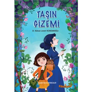 Taşın Gizemi