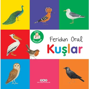 Minik Kitaplarım - Kuşlar - Feridun Oral