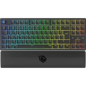 Rapid Pro Tkl Monster Tactile Red Switch 80 M Tıklama Kablolu Mekanik Rgb Oyuncu Klavyesi (Siyah)