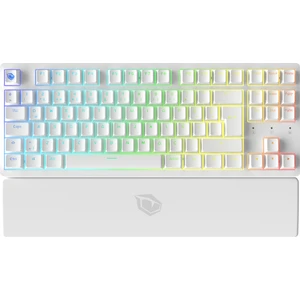 Rapid Pro Tkl Monster Tactile Red Switch 80 M Tıklama Kablolu Mekanik Rgb Oyuncu Klavyesi (Beyaz)