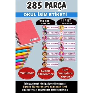 Kt Grup Okul Etiketi Kalem Defter Etiketi Özel Isimli Disney Prensesler 15 Figür 285 Adet