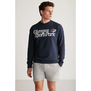 Darian Erkek Sport Baskılı içi Polarsız Mevsimlik Lacivert Sweatshirt