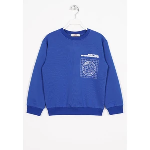 Ön Arka Dijital Baskı Detaylı Saks Renk Erkek Çocuk Sweatshirt