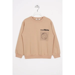 Ön Arka Dijital Baskı Detaylı Camel Renk Erkek Çocuk Sweatshirt