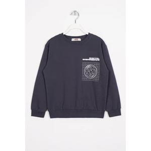 Ön Arka Dijital Baskı Detaylı Füme Renk Erkek Çocuk Sweatshirt
