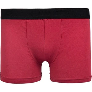 Erkek 2'li Pamuklu Likralı Esnek Kumaş Boxer