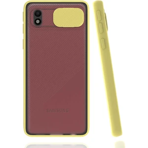 Cepte Aksesuar Samsung Galaxy A01 Core Kılıf Lensi Kapak - Sarı