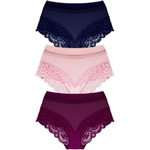 Dantel Detaylı Transparan Büyük Beden Bikini Külot 3'lü Paket-2