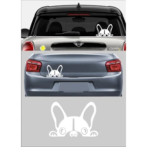 Sticker Usta Köpek Bağajdan Bakan Köpek Araba Oto Motosiklet Karavan Sticker 00429