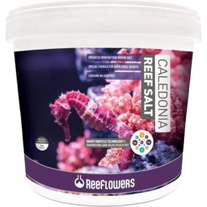 Caledonia Reef Salt 1kg Açık