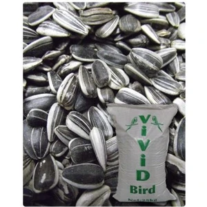 Küçük Çekirdek Tuzsuz 1kg Praket