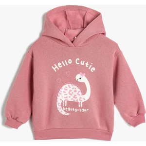 Kapşonlu Sweatshirt Dinozor Baskılı Uzun Kollu
