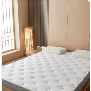 Naturel Yatak Pedi Yer Yatağı Şilte Tek Kişilik Çift Kişilik Katlanır Yatak 10CM