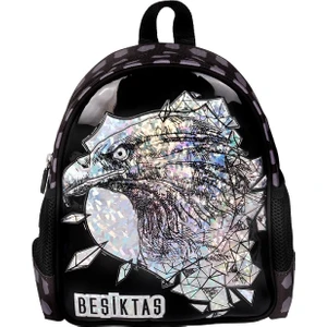 Tek Bölmeli Kartal Baskılı Anaokulu Sırt Çantası 24345