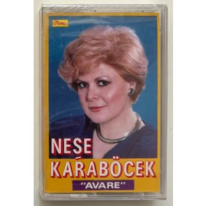 Güney Plak Neşe Karaböcek Avare Kaset (Jelatininde Sıfır Orjnal Dönem Kağıt Baskı Kaset)
