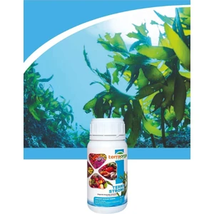 Terra Orga Terra Strong 250 cc