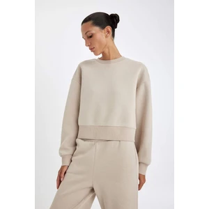 Boxy Fit Bisiklet Yaka Kalın Basic Düz Sweatshirt B8568AX24WN