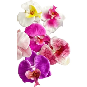 Orkide Çiçekli Aloha Büyük Mandal Toka 2 Adet