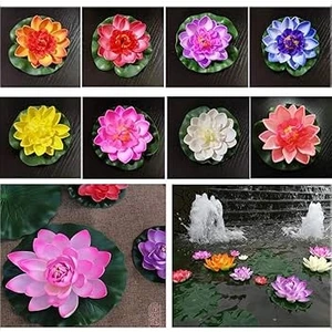 Köy Tohumları 5 Adet Tohum Nadir Karışık Renkli Lotus Su Çiçeği Nilüfer Çiçeği Hediye Tohumlu