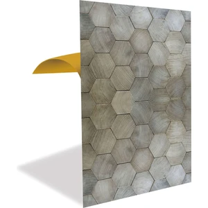 Kendinden Yapışkanlı Altıgen Ahşap Desenli Pvc Panel 41X62 cm (12 Adet) 3 M²