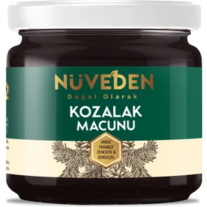Nüveden Kozalak Macunu Çam Kozalağı 240 gr Çiçek Balı-Andız Pekmezi-Zerdeçal-Zencefil C Vitaminli