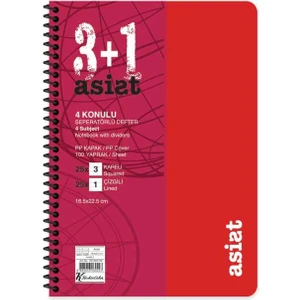 Keskin Color Defter 16,5X22,5 3+1 Ayraçlı Plastik Kapak Asist