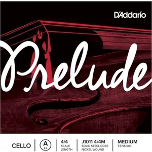 J1011 4/4M Prelude A Çello Teli (La)
