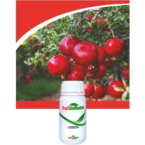 Terra Orga Fruıt Inflator 250 cc