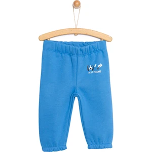 HelloBaby Basic Üç Iplik Baskılı Eşofman Alt Erkek Bebek