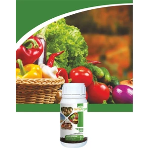 Terra Orga Terra Znx 250 cc