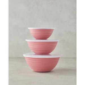 English Home Deanna Plastik 3 Parça Saklama Kabı 1-2-3 Lt Pembe
