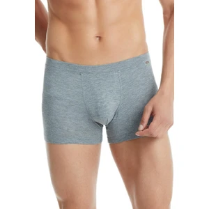 Silver Gri Boxer C0T1N3O9