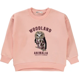 Civil Girls Kız Çocuk Sweatshirt 2-5 Yaş Pudra