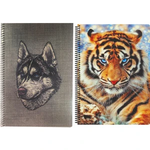Fly Color A4 P.p Kapak 96 Yaprak Kareli  Desenli Spiralli Defter Seti 2'li