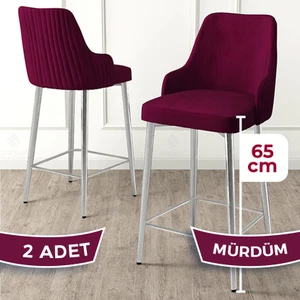 Tera Serisi 2 Adet Babyface Kumaş 65 cm Krom Kaplama Ayaklı Bar Sandalyesi