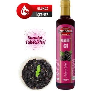 Bozkırlı Çavuşoğlu Doğal Katkısız Karadut Özü 680G