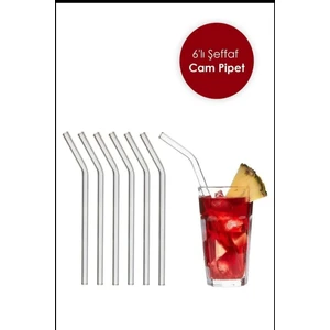 Gilli Store Şeffaf 6 Li Cam Eğimli Pipet