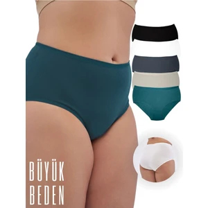 Alya Underwear Kadın Büyük Beden Yüksek Bel Külot Full Brief, 5'li Paket 5 Farklı Renk 1 Pakette
