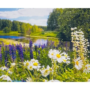 5d Yapışan Boncuk Goblen 40 x 50 cm Mozaik Tablo Pano 77468