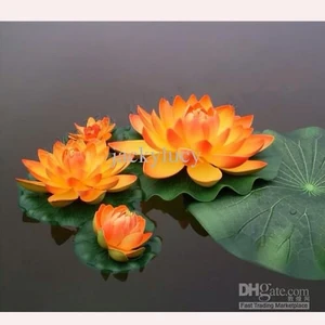 Köy Tohumları 1 Adet Tohum Nadir Turuncu Lotus Su Çiçeği Tohumu Nilüfer Çiçek Tohumu