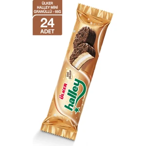 Halley Mini Granüllü 66 gr 24'lü