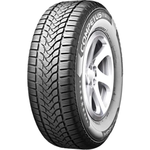 225/60R18 100H Competus Winter 2+ Kış Lastiği (Üretim YILI:2024)