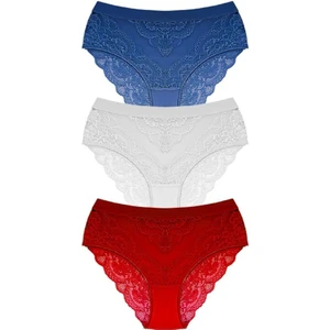 Dantelli Arkası Transparan Büyük Beden Bikini Külot 3'lü Paket-2