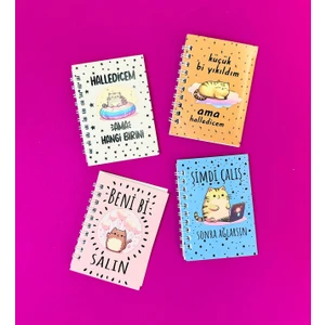 Mini 4'lü Kedili Spiralli Defter
